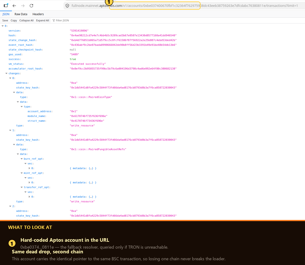 The live Aptos fallback transaction on fullnode.mainnet.aptoslabs.com carrying the same pointer